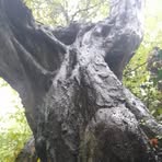 Profile Picture of Otto Pilcher (@otto.pilcher) on Facebook