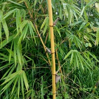 Profile Picture of Darshan Singh (@darshan-singh-325) on Quora