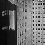 Profile Picture of Mario Borelli (@llorieb) on Instagram