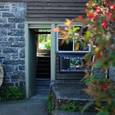 FelinGanol Watermill - Twitter Profile Picture of FelinGanol Watermill (@FelinGanol) on Twitter