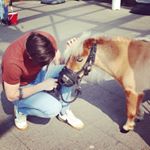 Profile Picture of Stephen Worrall (@xweavie) on Instagram
