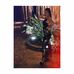 Profile Picture of Anacleta Di Donna (@anacleta.didonna) on Facebook