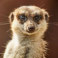 Profile Picture of Mike Squire (@mike-squire-9) on Quora
