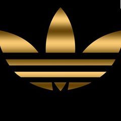 Profile Picture of David Ventel (@davidventel) on Tiktok