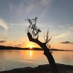 Profile Picture of Michael Dahmen (@miked2008) on Instagram