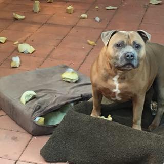 Profile Picture of Scott Lamberton (@scott.lamberton.5) on Facebook