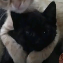 Profile Picture of 💀 (@timothyholmes52) on Tiktok