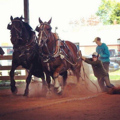 Profile Picture of Mackenzie Daniels (@Daniels_boy) on Twitter