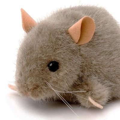Profile Picture of Matthew Catterall (@MatthewCattera8) on Twitter