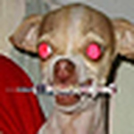 Profile Picture of Danny Santos (@salasvexx) on Flickr