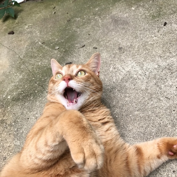 Profile Picture of Michael Mcgovern (@mmcgovern89) on Poshmark