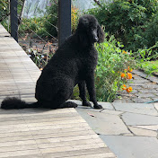 Profile Picture of Lucas Cross (@lucascross3716) on Youtube