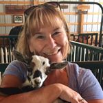 Profile Picture of Deborah Filanowski-Craven (@debbiecra46) on Instagram