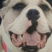 Profile Picture of Mariah Duncan (@mariahduncan393) on Youtube