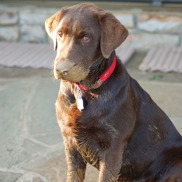 Profile Picture of David Houghton (@houghtonda) on Poshmark