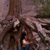 Profile Picture of Peter Reeser (@peter-reeser) on Quora