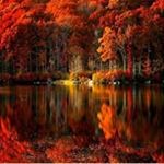 Profile Picture of Paula Mortimer (@mortimer.paula) on Instagram