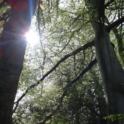 Profile Picture of Lisa Carnell (@lisa_carnell) on Twitter