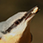 Profile Picture of Paul Jeffery (@pauljeffery59) on Flickr