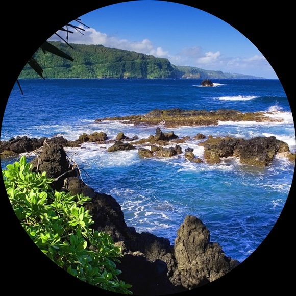 Profile Picture of Christina Kinkelaar (@c_kinkelaar) on Poshmark