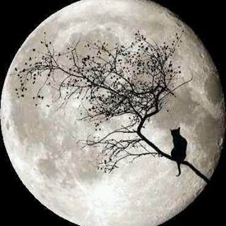 Profile Picture of Adam Reibsome (@adam.reibsome) on Facebook