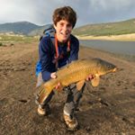 Profile Picture of Sam Sides (@samslides) on Instagram