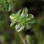 mill - Instagram Profile Picture of mill (@mem_iiiiill) on Instagram