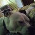 Profile Picture of Jimmy Haney (@jimmy.haney.737) on Facebook