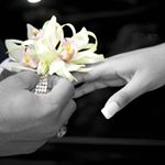 Profile Picture of Shawntel Williams (@beautifulbeginningsservices) on Instagram