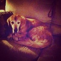 Profile Picture of Mitchell Atkinson (@mitchell-atkinson-6) on Quora