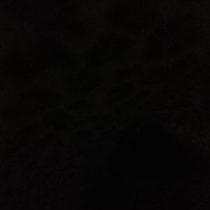 Profile Picture of Shamsa Jim Rashes Faraj Am Muhairi (@JimShamsa) on Twitter