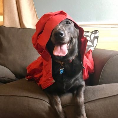 Profile Picture of Zachary Hester (@zmhester) on Twitter