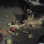 Profile Picture of Kim Tolley (@tolleykim) on Instagram