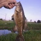 Profile Picture of Eric Main Wallace (@mmokstl) on Pinterest