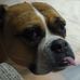 Profile Picture of Aaron Engelbrecht (@Aaron-Engelbrecht) on Facebook