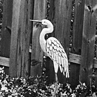 Profile Picture of Jan Boyer-kellermann (@jan-boyer-kellermann) on Quora