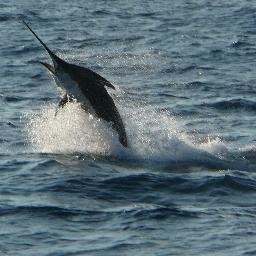 Profile Picture of John Overpeck (@CaptainJohnnyO) on Twitter