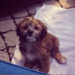Profile Picture of Wilma Fields (@sensitast) on Instagram