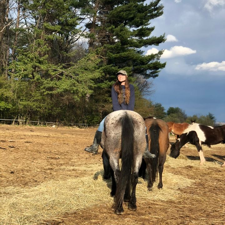 Profile Picture of Piper Capponi (@piper.capponi) on Tiktok