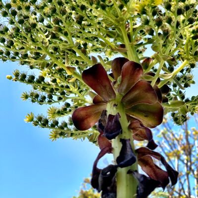 Profile Picture of Brad McDonald (@@RevealStudio) on Twitter