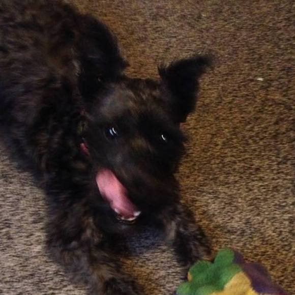 Profile Picture of Roy Beebe (@rbee4rbee) on Poshmark