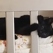 Profile Picture of Mirna Tobar (@mirnatobar6849) on Youtube