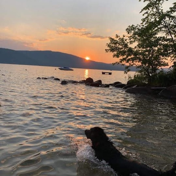 Chris Grace - Poshmark Profile Picture of Chris Grace (@chrisgrace2566) on Poshmark