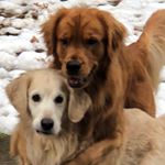 Profile Picture of Sinead O’Sullivan (@sosulli2006) on Instagram