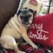Profile Picture of Alex Hogle (@alexhogle) on Pinterest