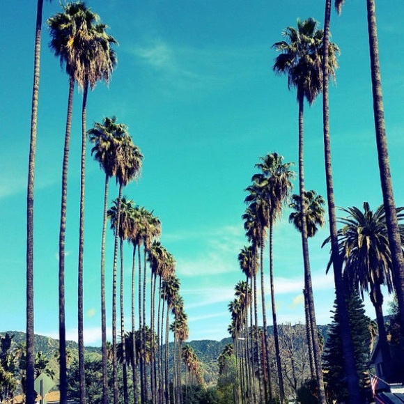 Profile Picture of Steven Rivas (@stevenrivas1005) on Poshmark