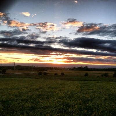 Profile Picture of Amanda Carlton (@a_carlton12) on Twitter