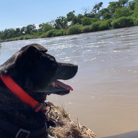 Profile Picture of C Confair (@ccc322) on Poshmark