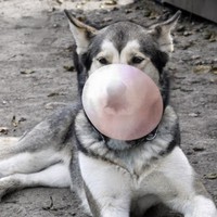 Profile Picture of Krista Kern (@krista-kern-1) on Quora