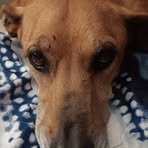 Profile Picture of Robin BraithwaiteOwens (@robin.braithwaiteowens) on Facebook